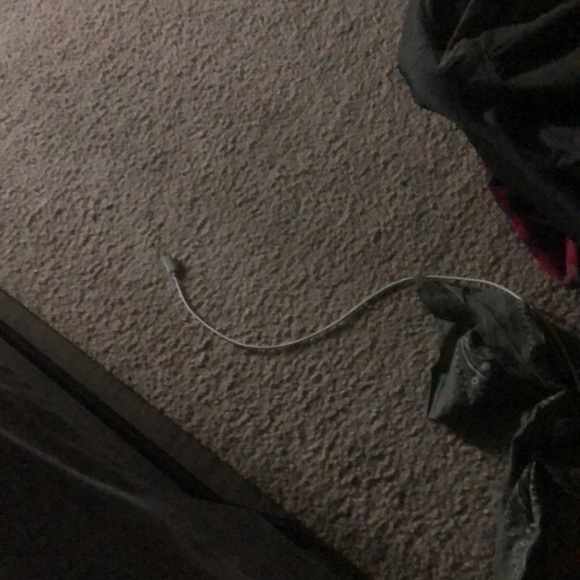 Meet your Posher, Casey - Picture 1 of 1